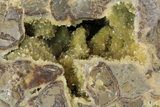 Yellow Crystal Filled Septarian Geode - Utah #157075-1